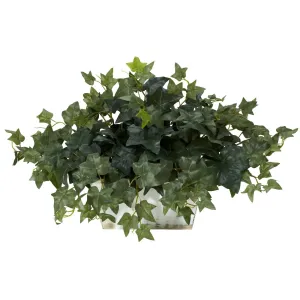 Ivy w/White Wash Planter Silk Plant