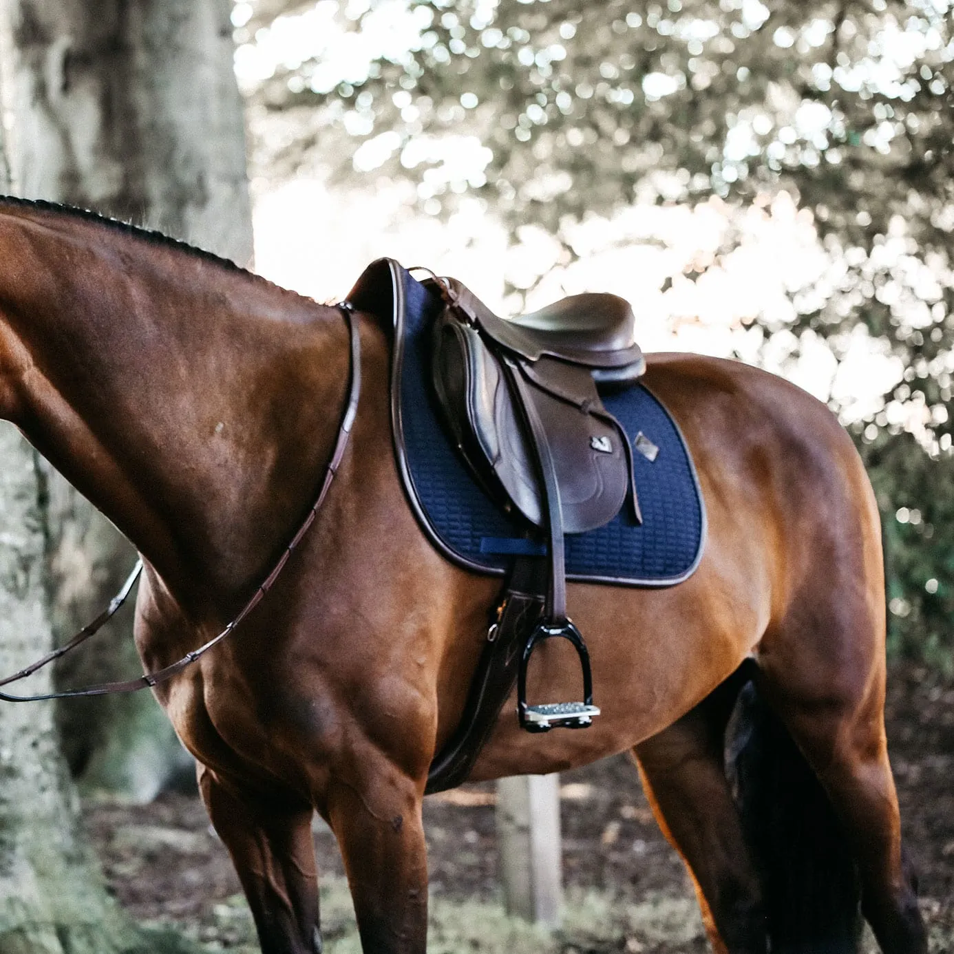 Kentucky Horsewear Leather Colour Edition Jumping Saddle Cloth - Navy